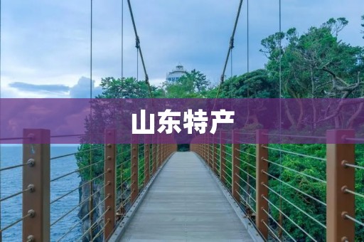 山东特产：探寻山东美食的独特魅力