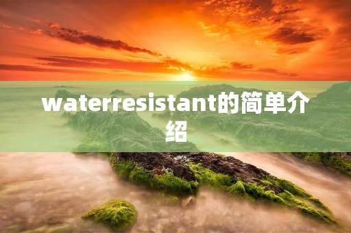 waterresistant的简单介绍