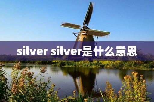 silver silver是什么意思