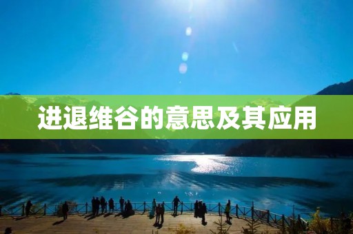 进退维谷的意思及其应用