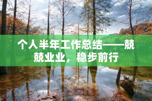 个人半年工作总结——兢兢业业,稳步前行