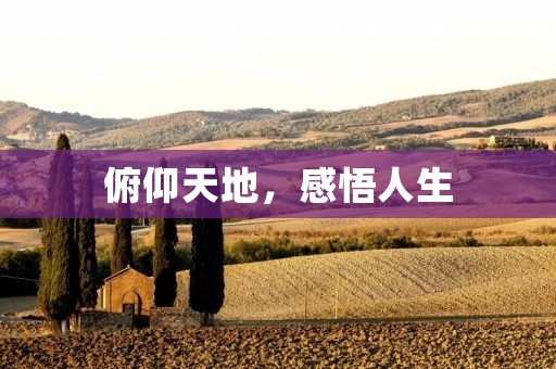 俯仰天地,感悟人生 俯仰天地,感悟人生