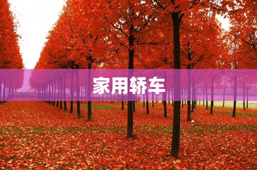 家用轿车：如何选择最适合你的车型？