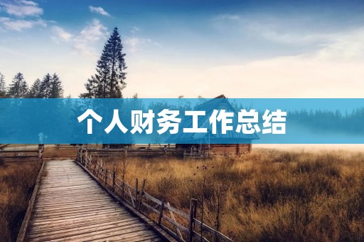 个人财务工作总结