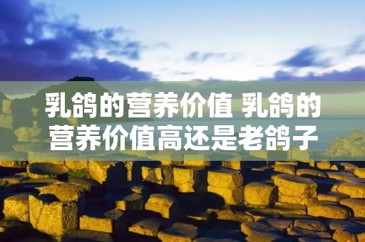 乳鸽的营养价值 乳鸽的营养价值高还是老鸽子的营养价值高