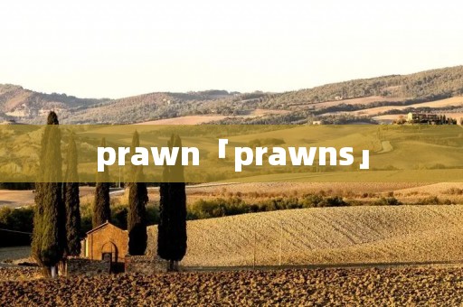 prawn「prawns」