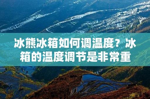 冰熊冰箱如何调温度？冰箱的温度调节是非常重要的，这不仅关系到食品的保存，也关系到能源的消耗。而冰熊冰箱作为一款高品质的冰箱，其温度调节也是非常人性化的。接下来，本文将详细介绍冰熊冰箱如何调温度，以及需要注意的细节。