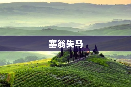 塞翁失马:一场意外带来的转机