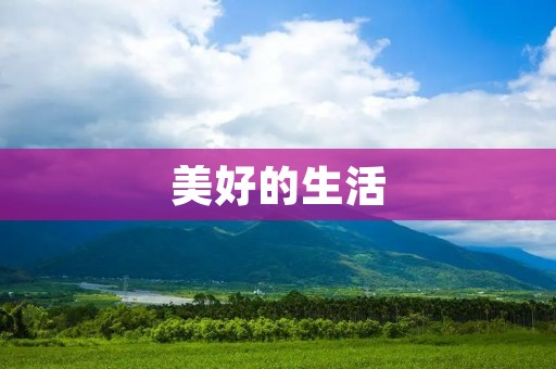 美好的生活:让我们一起追求真正的幸福