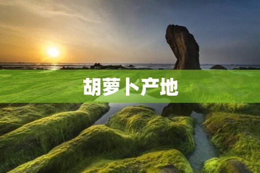 胡萝卜产地:从历史到现状