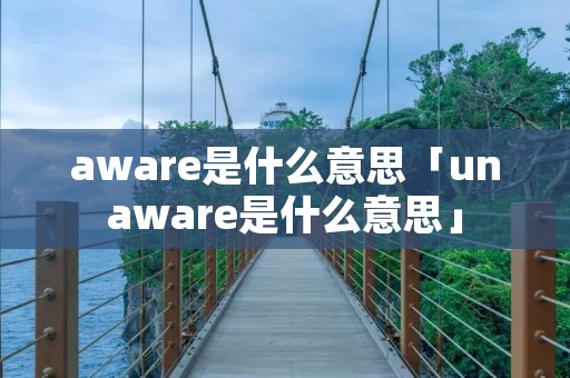 aware是什么意思「unaware是什么意思」