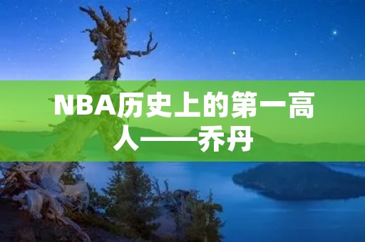 NBA历史上的第一高人——乔丹