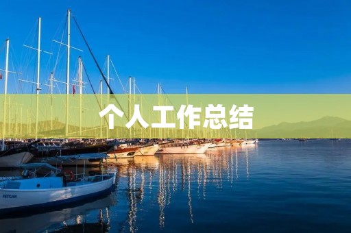 个人工作总结:2021年度工作回顾
