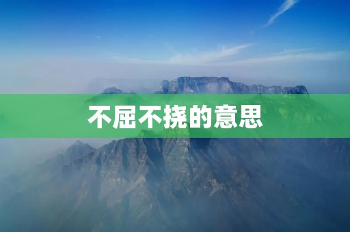 不屈不挠的意思:坚定不移地追求目标