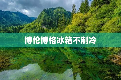 博伦博格冰箱不制冷:原因分析与解决方法 博伦博格冰箱不制冷:原因分析与解决方法