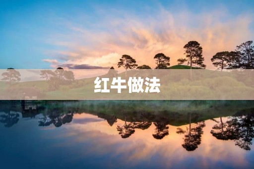 红牛做法：自制红牛能量饮料，让你轻松应对疲惫