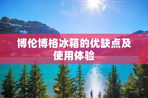 博伦博格冰箱的优缺点及使用体验 博伦博格冰箱的优缺点及使用体验