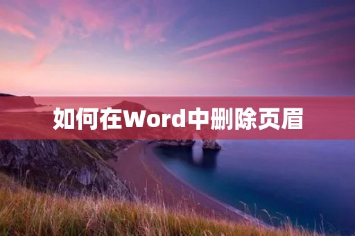 如何在Word中删除页眉