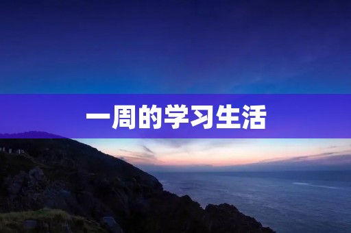 一周的学习生活