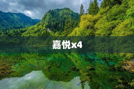 嘉悦x4:带你畅游未来的智能手机 嘉悦x4:带你畅游未来的智能手机