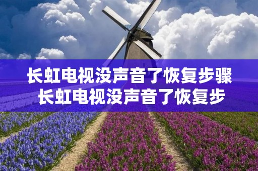 长虹电视没声音了恢复步骤 长虹电视没声音了恢复步骤怎么操作 长虹电视没声音了恢复步骤 长虹电视没声音了恢复步骤怎么操作