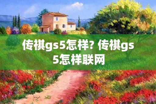 传祺gs5怎样? 传祺gs5怎样联网
