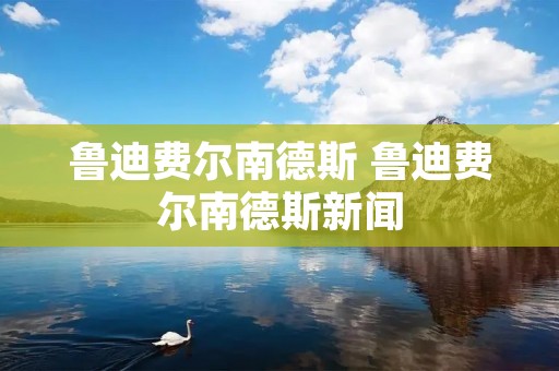 鲁迪费尔南德斯 鲁迪费尔南德斯新闻