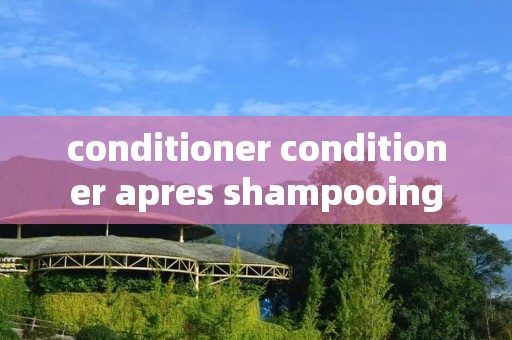 conditioner conditioner apres shampooing