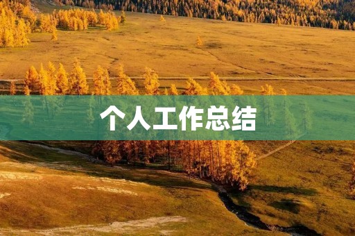 个人工作总结:成长与收获