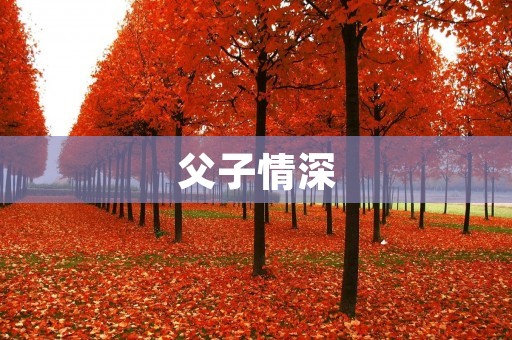 父子情深:一段温暖而感人的故事 父子情深:一段温暖而感人的故事
