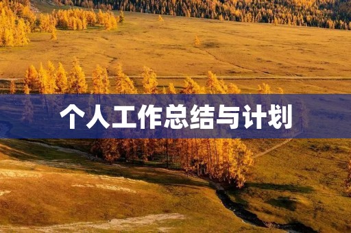 个人工作总结与计划