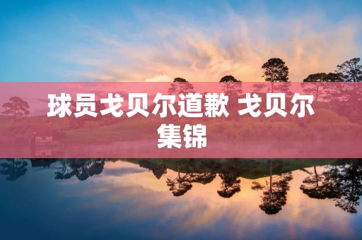 球员戈贝尔道歉 戈贝尔集锦