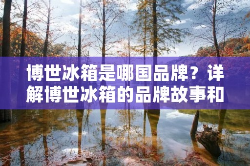 博世冰箱是哪国品牌?详解博世冰箱的品牌故事和特点 博世冰箱是哪国品牌?详解博世冰箱的品牌故事和特点
