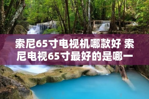 索尼65寸电视机哪款好 索尼电视65寸最好的是哪一款