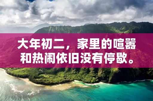 大年初二，家里的喧嚣和热闹依旧没有停歇。早上，我和爸爸妈妈一起起床，为家里的客人准备早餐。桌上摆满了各式各样的菜肴，饺子、蒸鱼、炒青菜等等，香气四溢，让人垂涎欲滴。