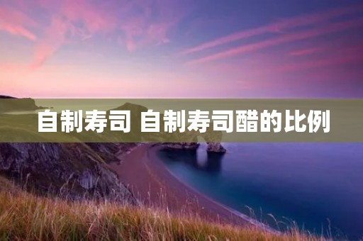 自制寿司 自制寿司醋的比例