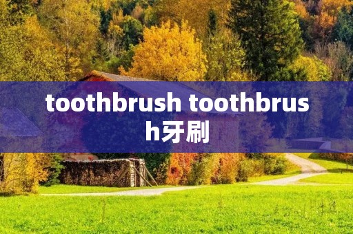 toothbrush toothbrush牙刷