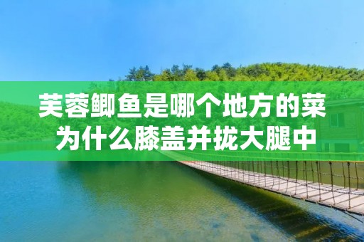 芙蓉鲫鱼是哪个地方的菜 为什么膝盖并拢大腿中间有空隙