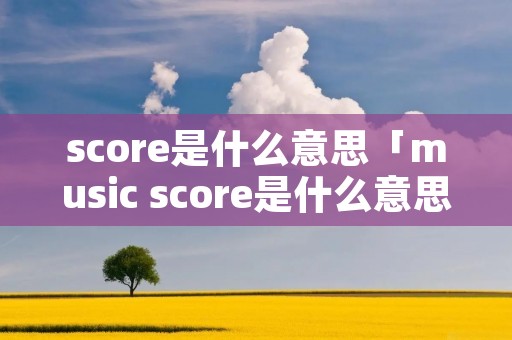 score是什么意思「music score是什么意思」