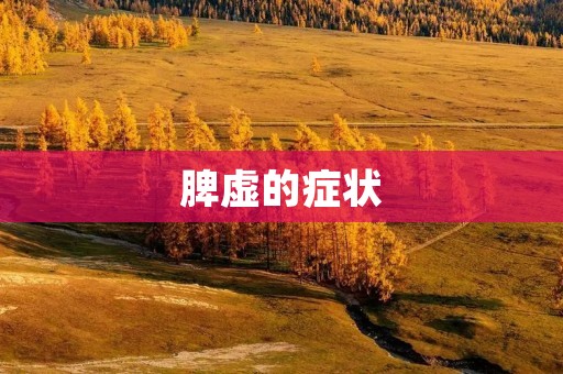 脾虚的症状：如何判断和缓解？