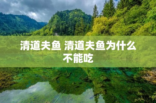 清道夫鱼 清道夫鱼为什么不能吃