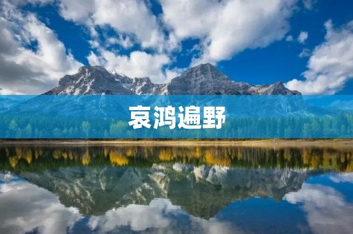哀鸿遍野:揭开中国老年人贫困现状的面纱