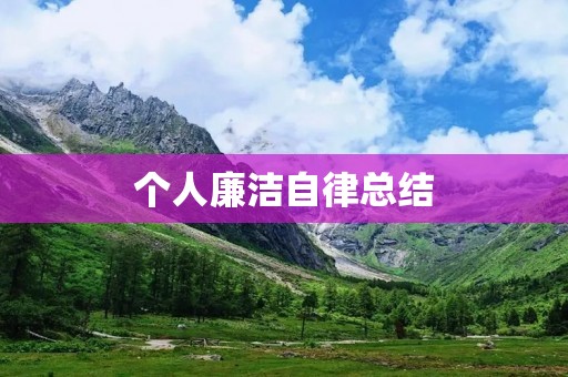 个人廉洁自律总结