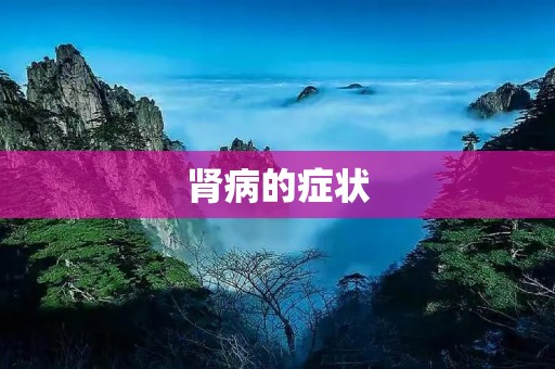 肾病的症状:从尿液开始看起 肾病的症状:从尿液开始看起