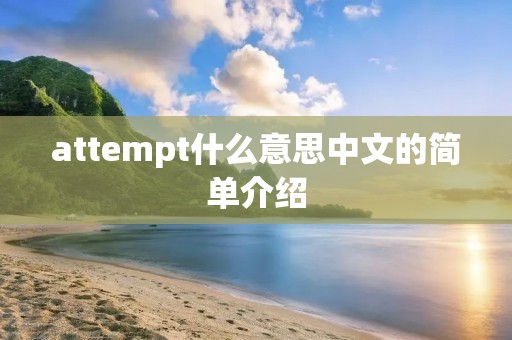 attempt什么意思中文的简单介绍