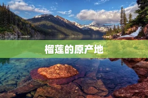 榴莲的原产地：探寻这种美味水果的起源和历史