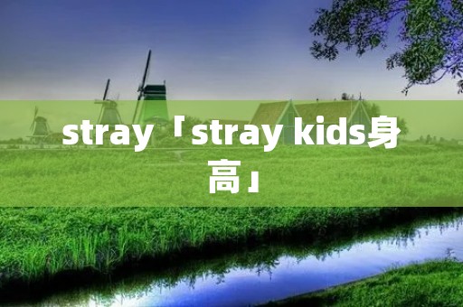 stray「stray kids身高」 stray「stray kids身高」