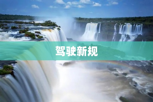 驾驶新规：从“规定驾驶员身体条件”到“规范驾驶行为”
