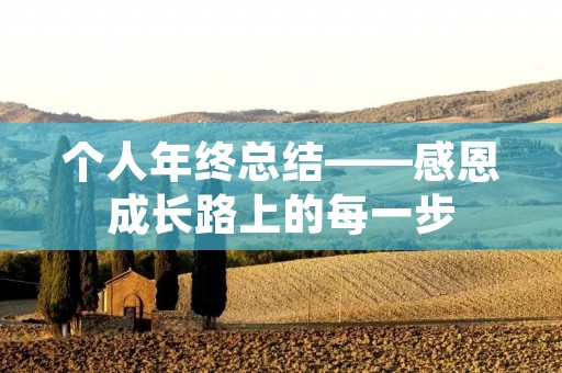 个人年终总结——感恩成长路上的每一步