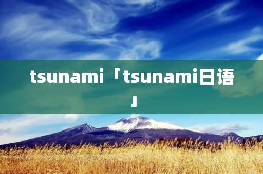 tsunami「tsunami日语」